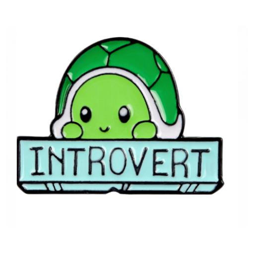 Introvert Turtle Pin – Funky Pins