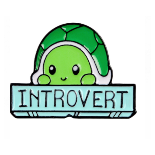 Introvert Turtle Pin