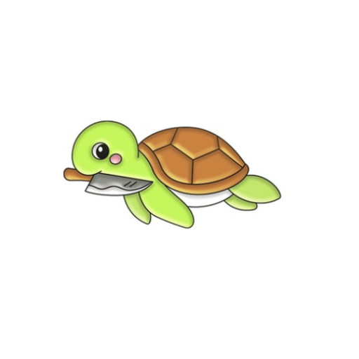 Turtle Pin
